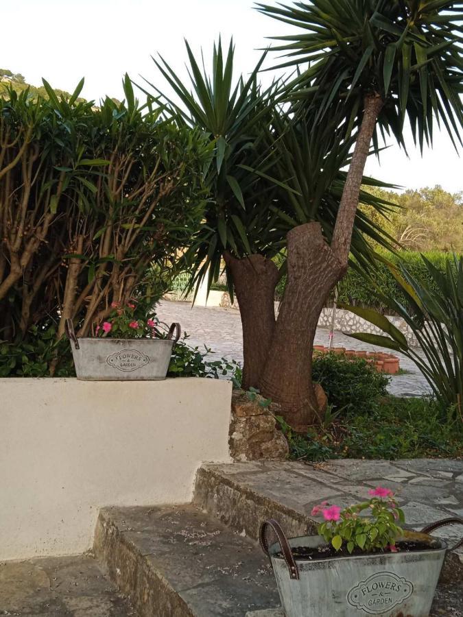 Julietta Suites Argostoli  Eksteriør billede