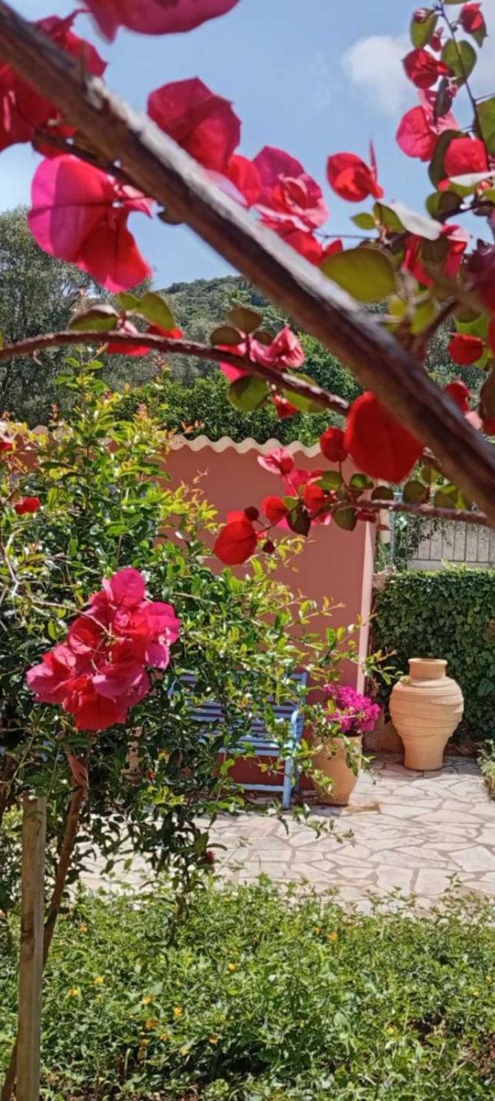 Julietta Suites Argostoli  Eksteriør billede